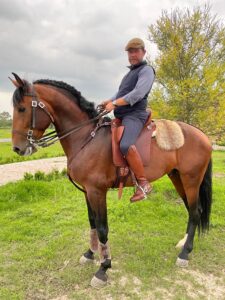 Caballo Pura Sangre Lusitano