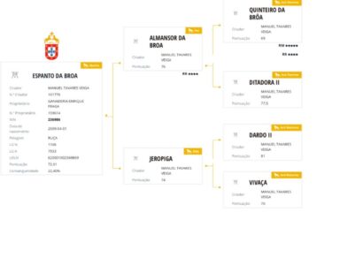 Espanto da broa, caballo pura sangre lusitano, importado de Portugal