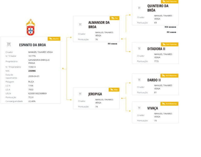 Espanto da broa, caballo pura sangre lusitano, importado de Portugal